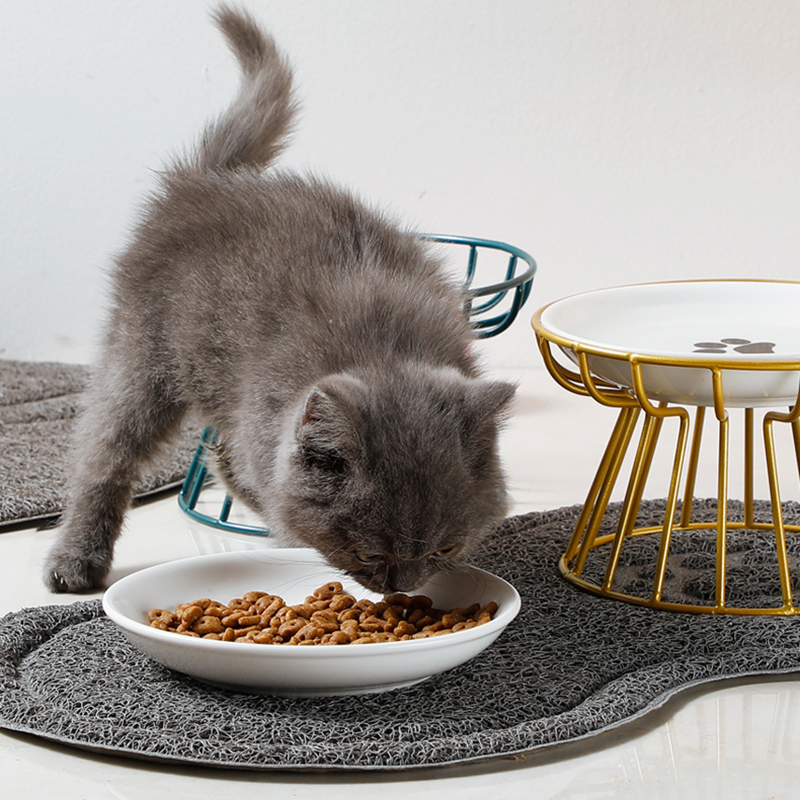 Slow Cooker Ceramic - 2024 New Pet Ceramic Bowl Iron
